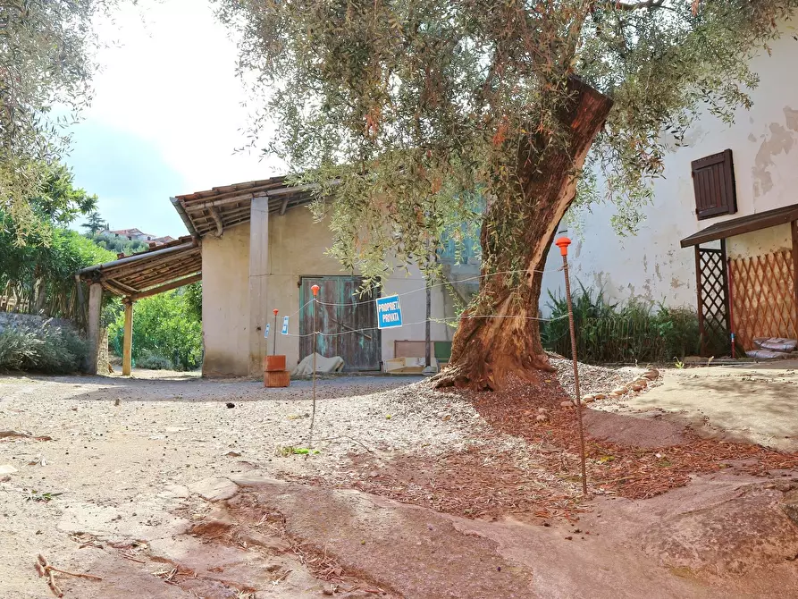 Immagine 3 di Rustico / casale in vendita  in Via Ughi 12 a Diano San Pietro