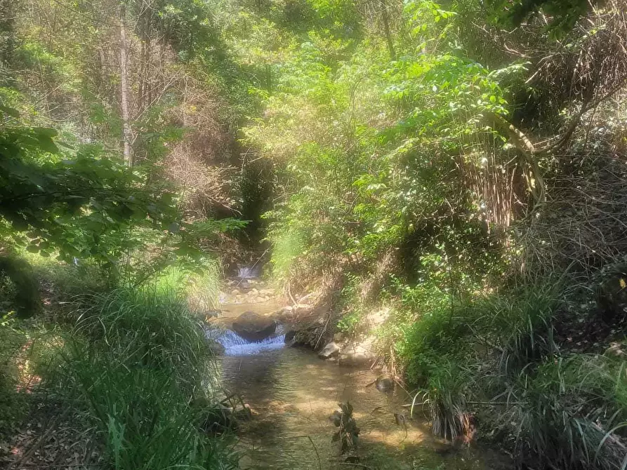 Immagine 54 di Rustico / casale in vendita  in Via Val D'Olivi 185 a San Remo