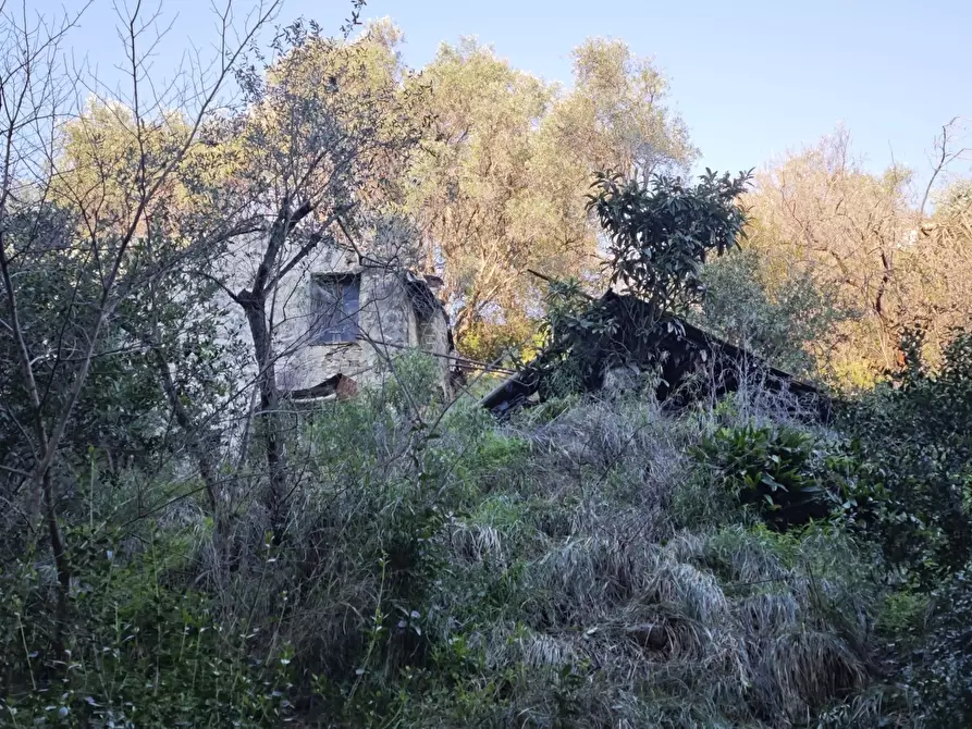 Immagine 52 di Rustico / casale in vendita  in Via Val D'Olivi 185 a San Remo