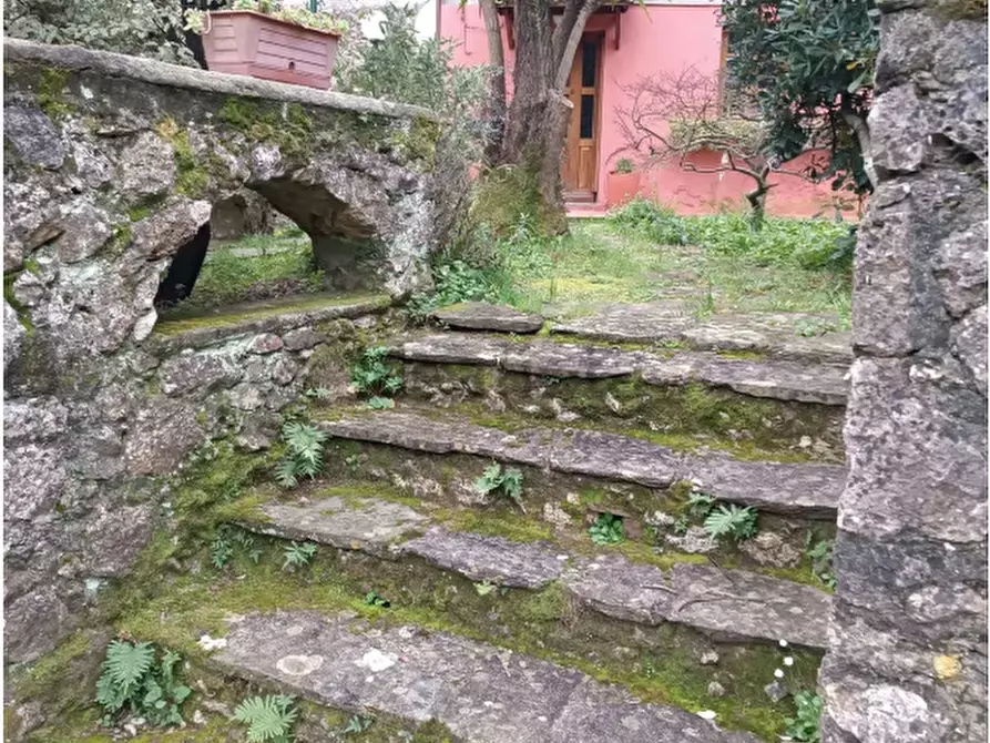 Immagine 2 di Baita in affitto  a Camaiore