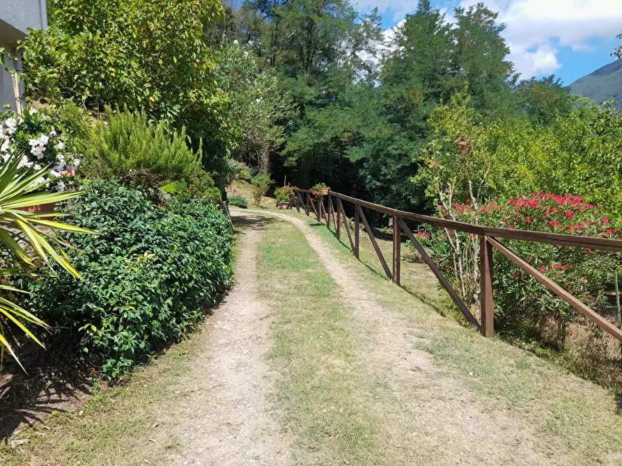 Immagine 7 di Rustico / casale in vendita  a Camaiore