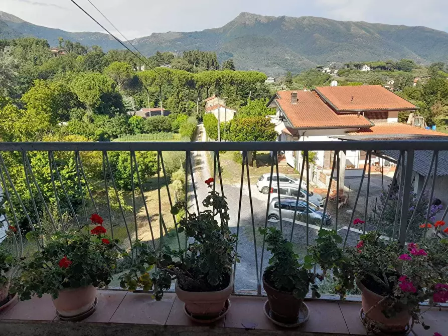 Immagine 48 di Rustico / casale in vendita  a Camaiore