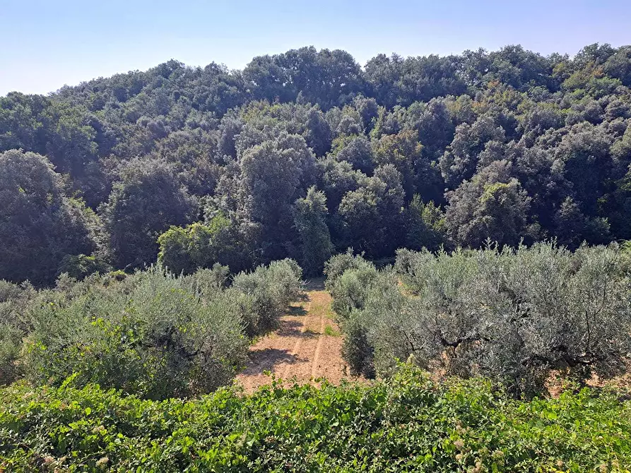 Immagine 20 di Rustico / casale in vendita  in Contrada Acquarelli 2 a Rocca San Giovanni
