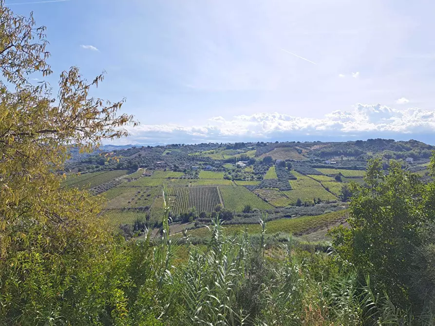 Immagine 54 di Casa indipendente in vendita  in COLLE DELLA FONTE 94 a Frisa