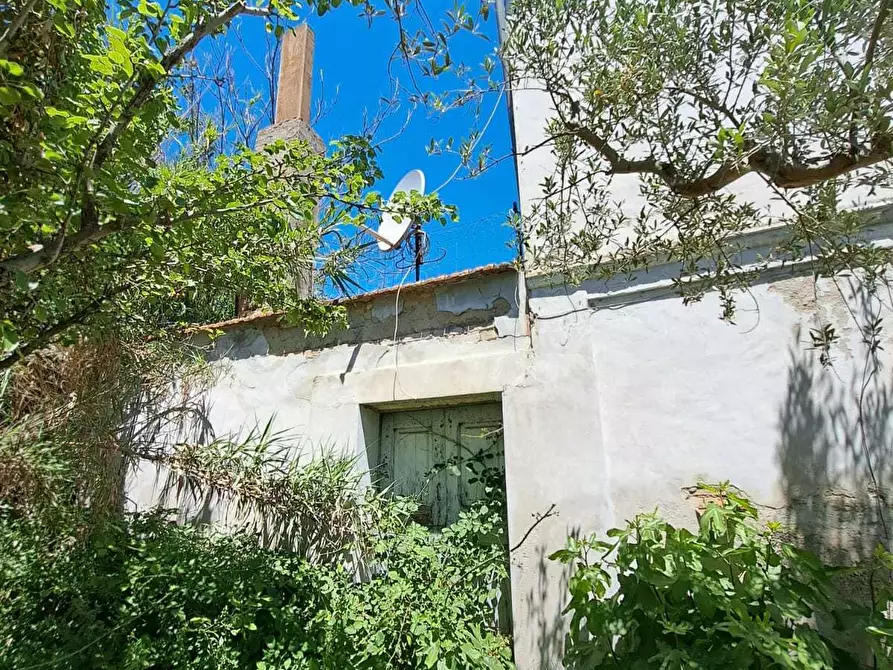 Immagine 12 di Rustico / casale in vendita  in STRADA P. MEDIANA 51 a Fossacesia