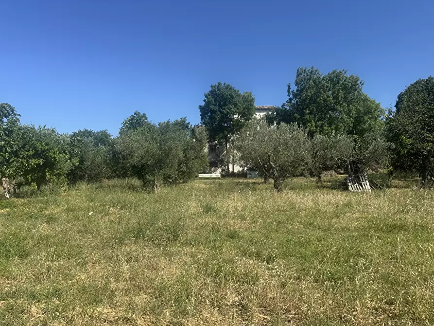 Immagine 31 di Casa indipendente in vendita  in torricchio a Tornareccio
