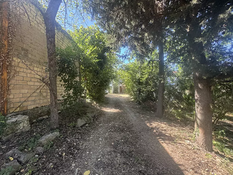 Immagine 38 di Casa indipendente in vendita  in torricchio a Tornareccio