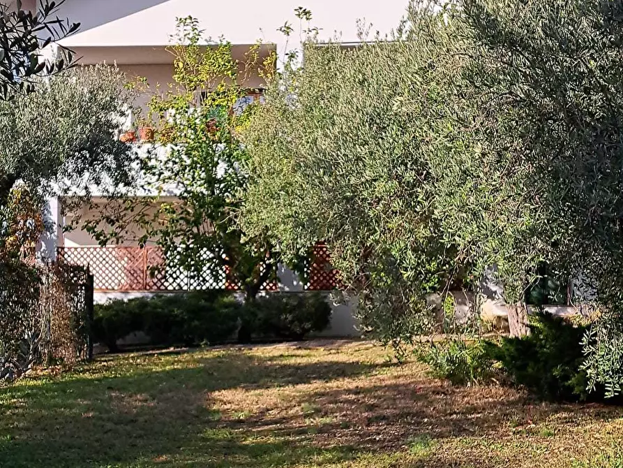 Immagine 47 di Attico in vendita  in Contrada Santa Croce 164 a Lanciano