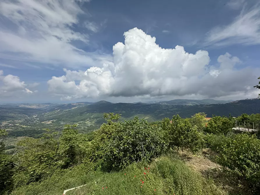 Immagine 28 di Appartamento in vendita  in Palmoli a Palmoli