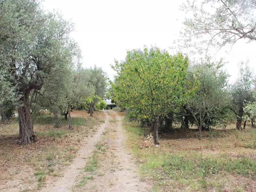 Immagine 21 di Casa indipendente in vendita  in Contrada Santa Maria dei Mesi 18 a Lanciano