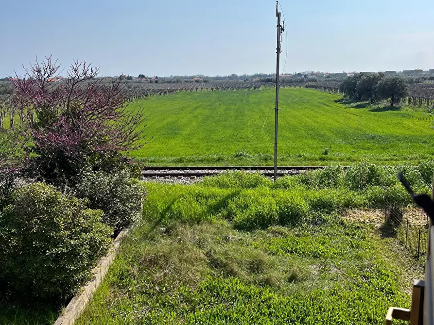 Immagine 17 di Terratetto in vendita  in Contrada da Cona 34 a San Vito Chietino