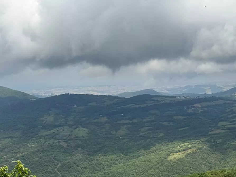 Immagine 29 di Appartamento in vendita  in Palmoli a Palmoli