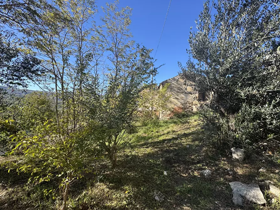 Immagine 52 di Rustico / casale in vendita  a Atessa