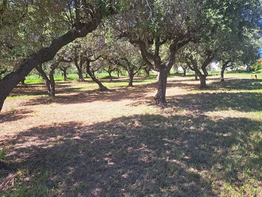 Immagine 53 di Casa indipendente in vendita  in contrada follani 260 a Lanciano
