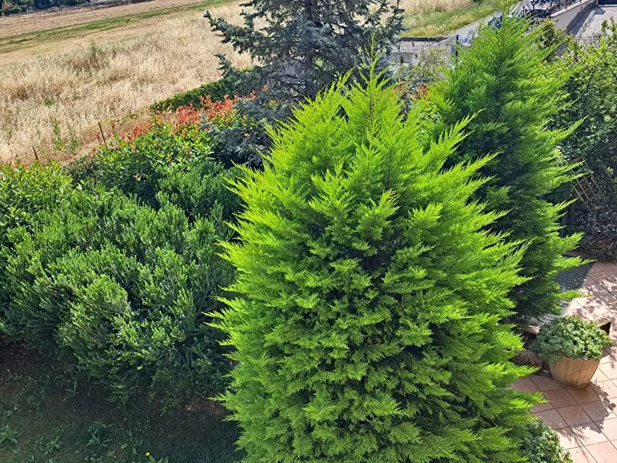 Immagine 64 di Villa in vendita  in villa andreoli a Lanciano