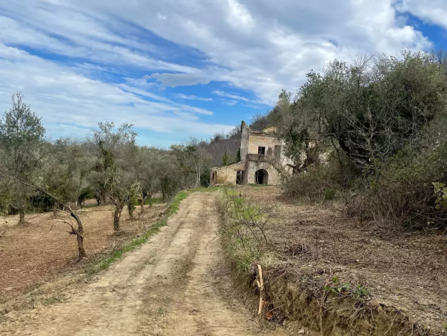 Immagine 41 di Rustico / casale in vendita  in C.DA CASTELLANA a Treglio