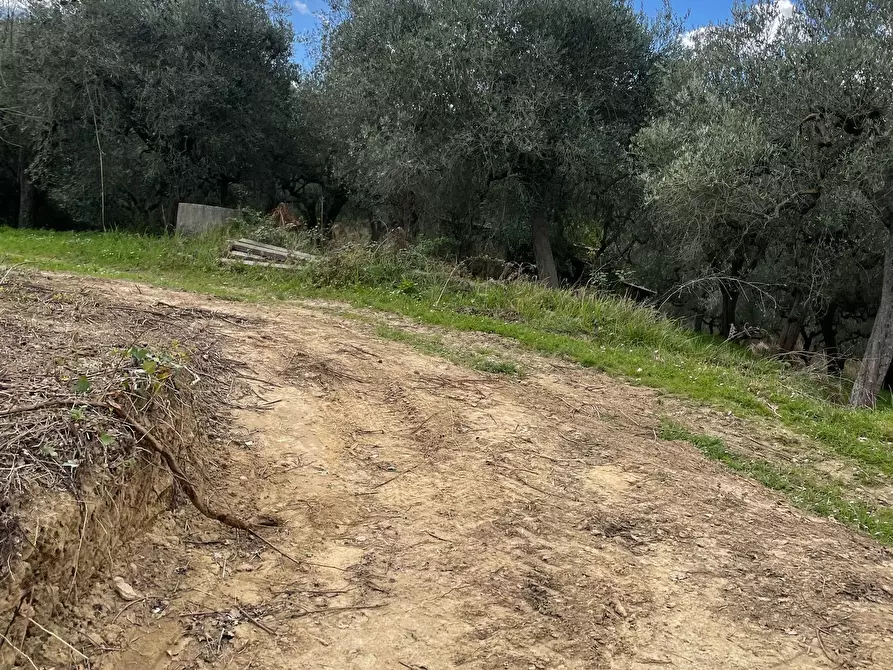 Immagine 58 di Rustico / casale in vendita  in C.DA CASTELLANA a Treglio