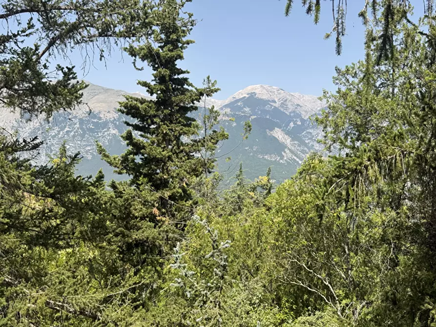 Immagine 19 di Villa in vendita  in Via Peligna 27 a Gessopalena