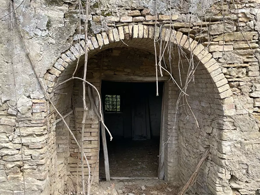 Immagine 26 di Rustico / casale in vendita  in C.DA CASTELLANA a Treglio