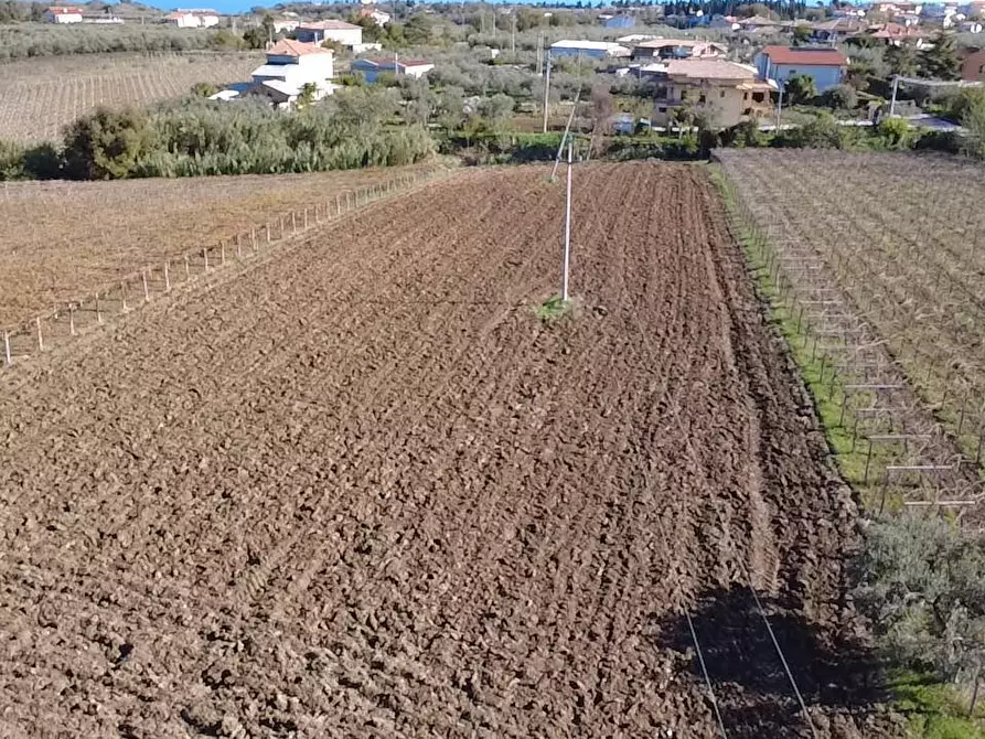 Immagine 2 di Terreno edificabile in vendita  in Contrada Codacchie 58 a Rocca San Giovanni