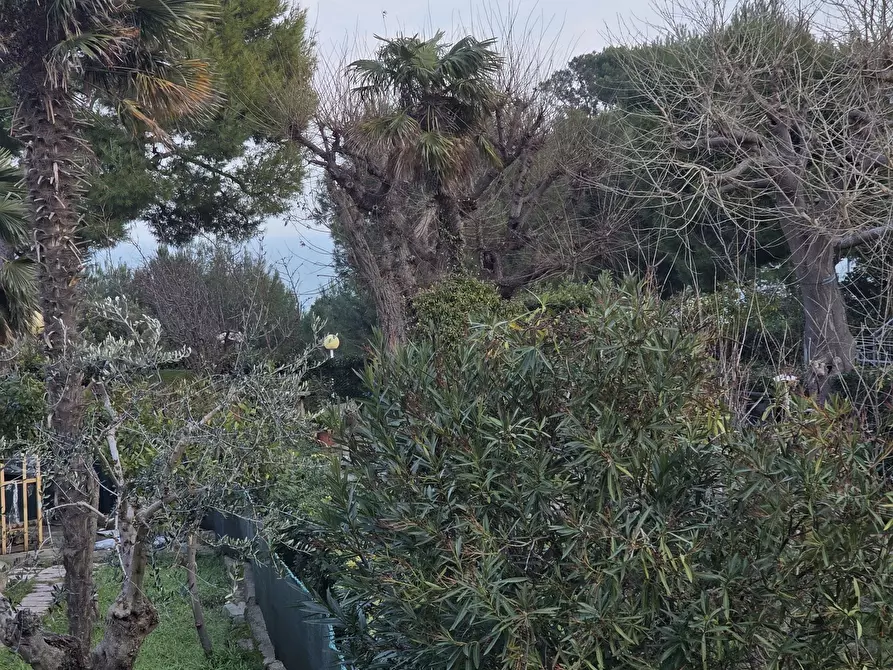 Immagine 87 di Casa indipendente in vendita  in Via Giacomo Matteotti 10 a Numana