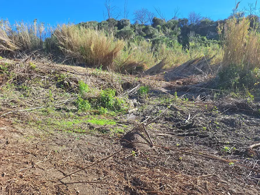 Immagine 8 di Terreno agricolo in vendita  in Via delle Grotte 1521 a Morlupo