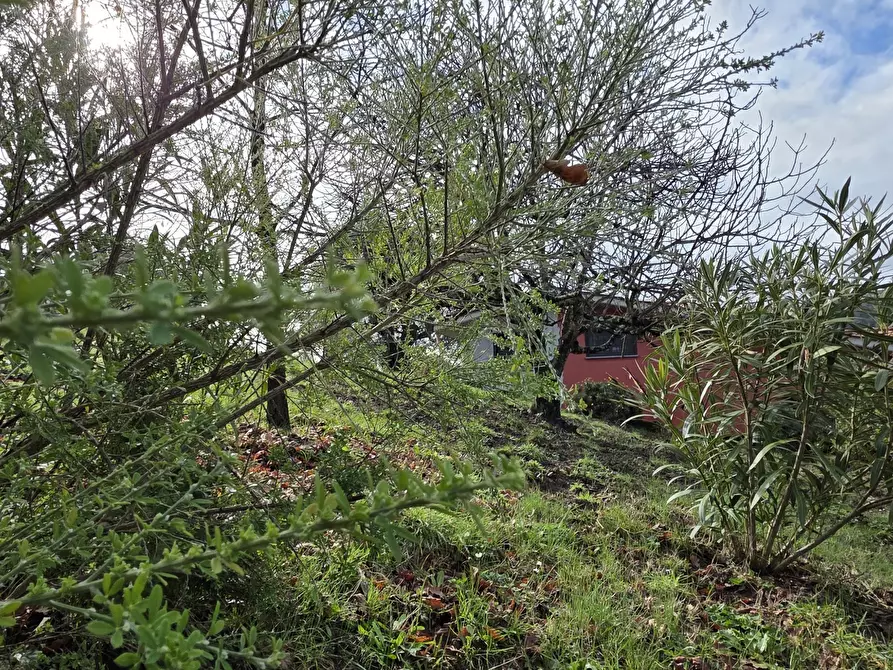 Immagine 37 di Villa in vendita  in Via Monte la Pera 22 a Castelnuovo Di Porto