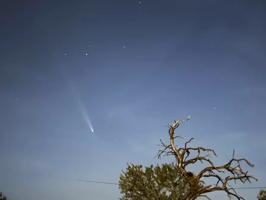 Immagine 45 di Villa in affitto  in Strada San Caterina 27 a Viterbo