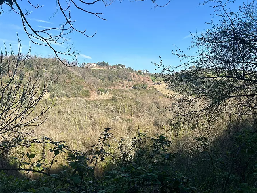 Immagine 14 di Palazzo in vendita  in via delle grotte a Morlupo