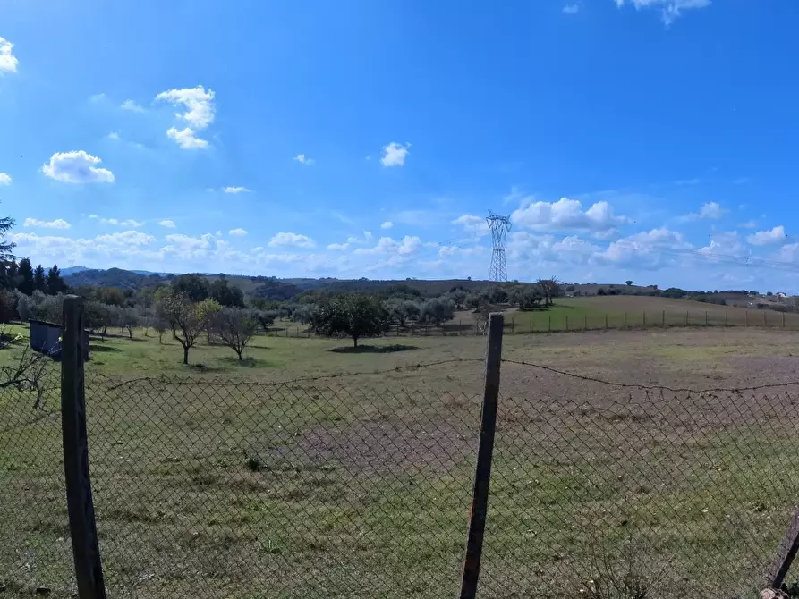 Immagine 36 di Villa in vendita  in Strada Comunale Campo Maggiore 10 a Rignano Flaminio