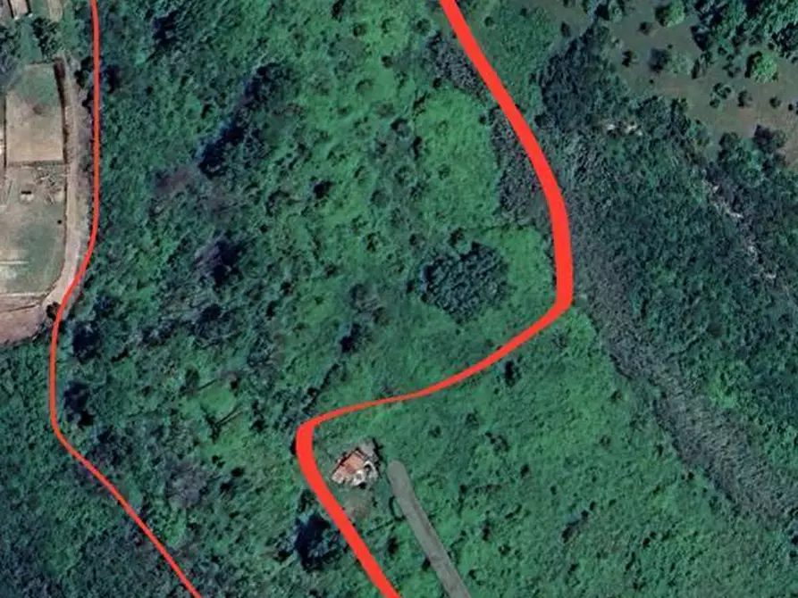 Immagine 13 di Terreno agricolo in vendita  in Via delle Grotte 1521 a Morlupo