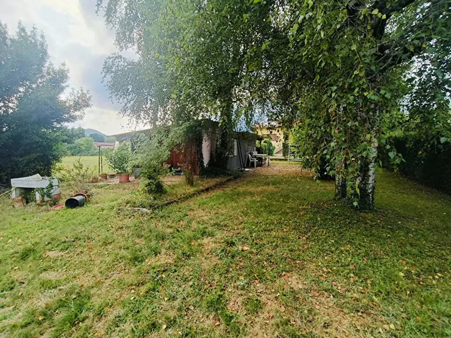 Immagine 6 di Terreno agricolo in vendita  in Frazione Remondato 30 a Ciriè