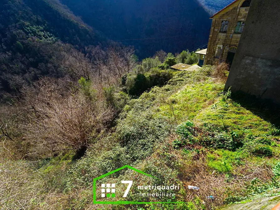 Immagine 49 di Terratetto in vendita  a Cicagna