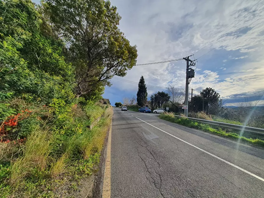 Immagine 7 di Terreno agricolo in vendita  a Catanzaro