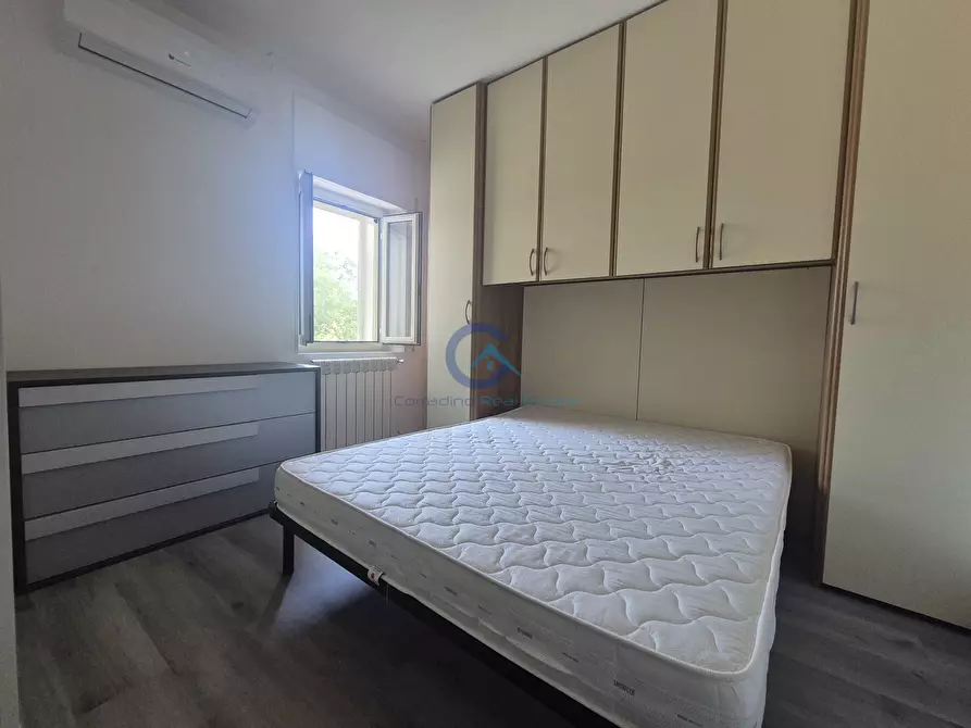 Immagine 7 di Trilocale in affitto  a Catanzaro