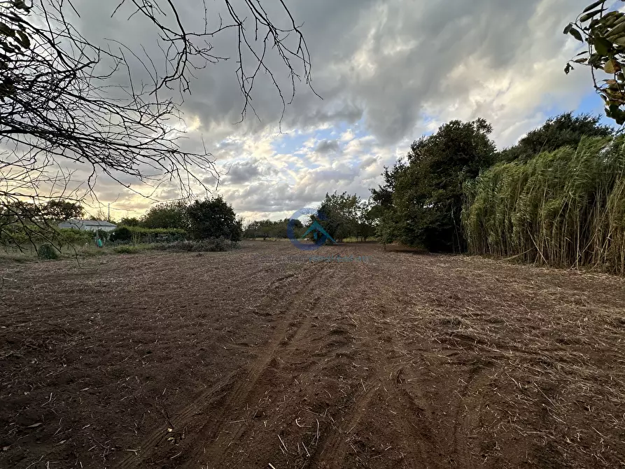 Immagine 6 di Magazzino in vendita  in Via San Fantino a Borgia