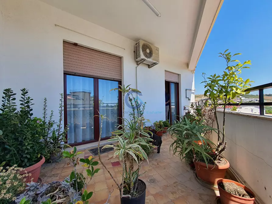 Immagine 1 di Trilocale in affitto  a Catanzaro