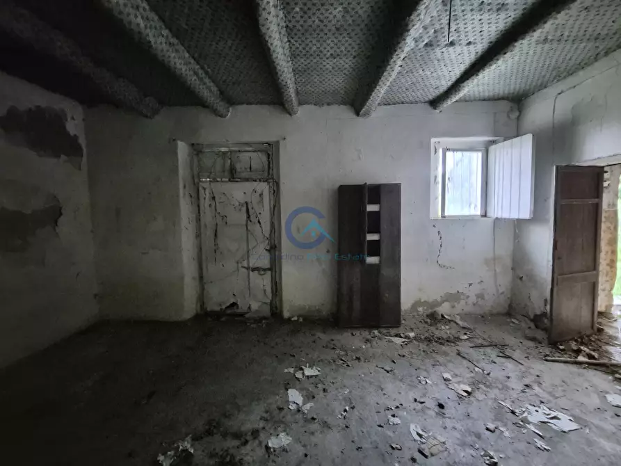 Immagine 3 di Magazzino in vendita  in CONTRADA CERASIA a Borgia