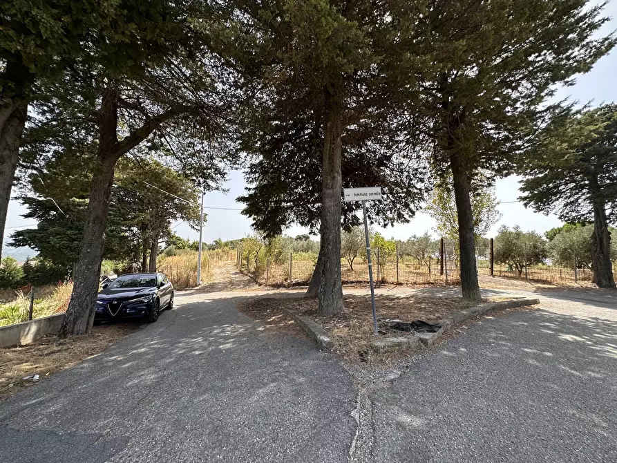 Immagine 5 di Terreno edificabile in vendita  a Catanzaro