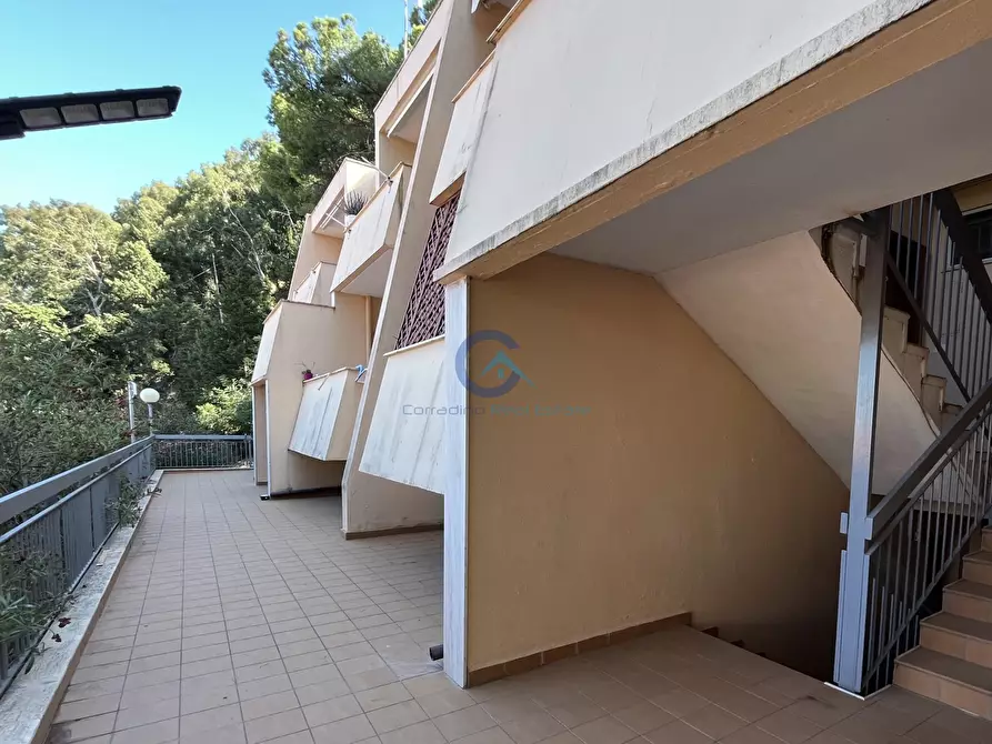 Immagine 18 di Quadrilocale in vendita  a Stalettì