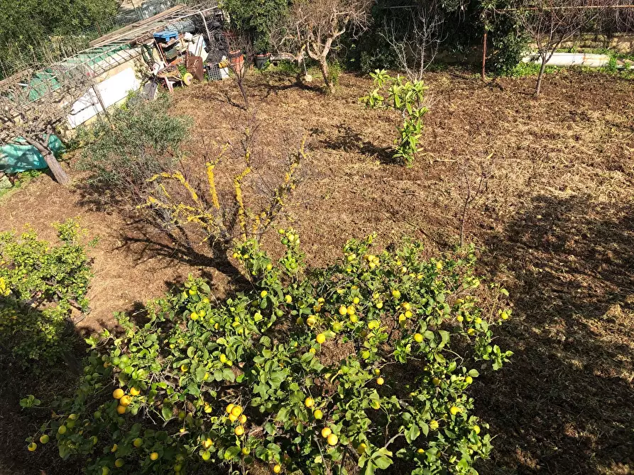 Immagine 39 di Casa indipendente in vendita  in VIA ISOLE DELLA  CALEDONIA a Siracusa