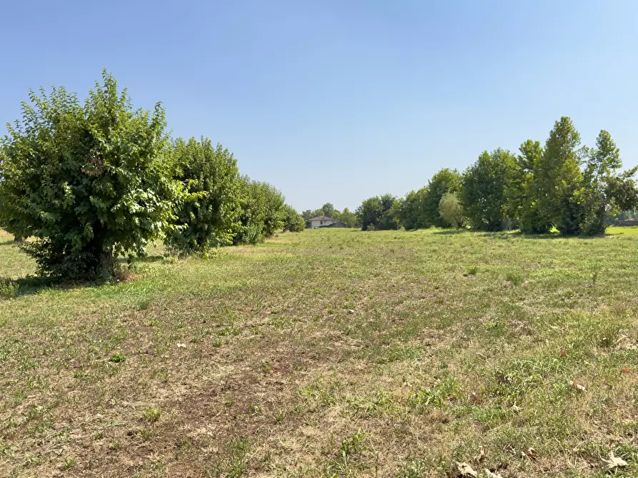 Immagine 4 di Terreno agricolo in vendita  in Via San Francesco D'Assisi 40 a Borgosatollo
