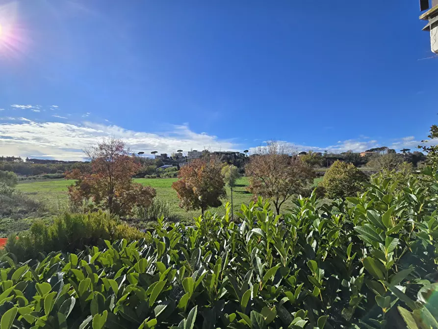 Immagine 21 di Stanza singola in affitto  in Via della Giustiniana 220 a Roma