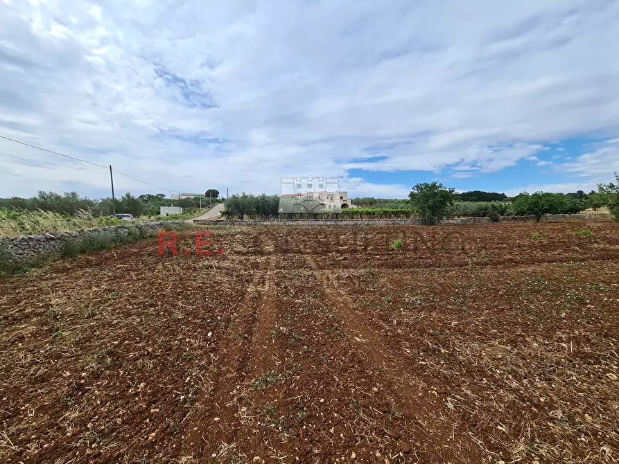 Immagine 16 di Baita in vendita  in Via ospedale a Martina Franca