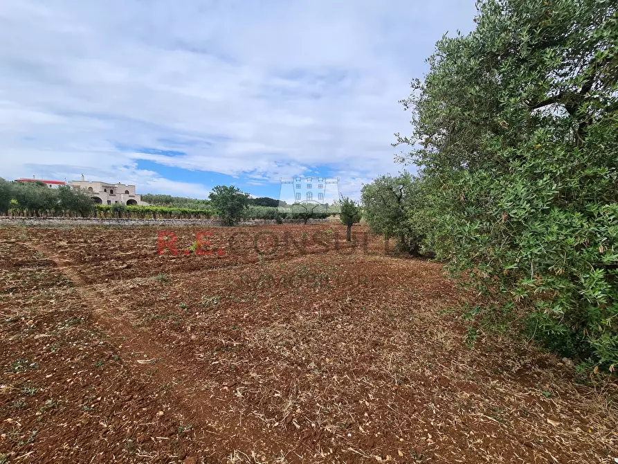 Immagine 15 di Baita in vendita  in Via ospedale a Martina Franca