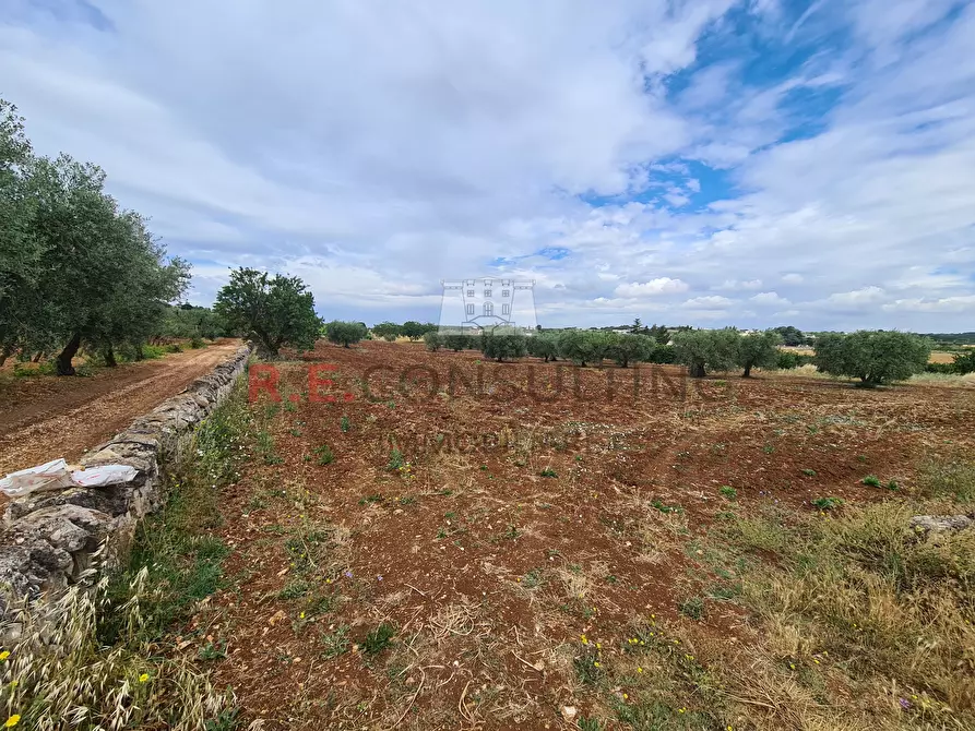 Immagine 9 di Baita in vendita  in Via ospedale a Martina Franca