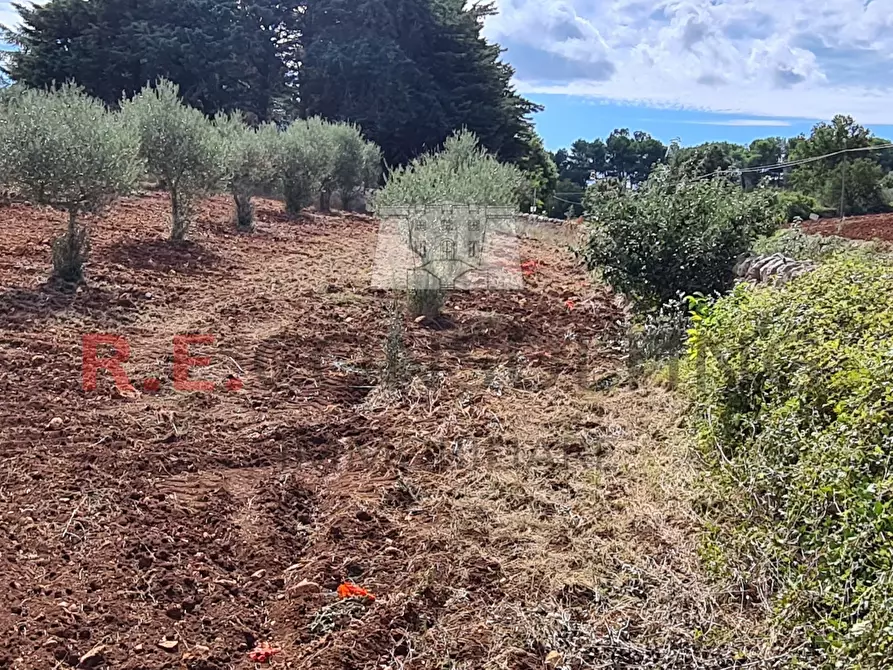 Immagine 41 di Baita in vendita  in Contrada Ulmo sn a Ceglie Messapico