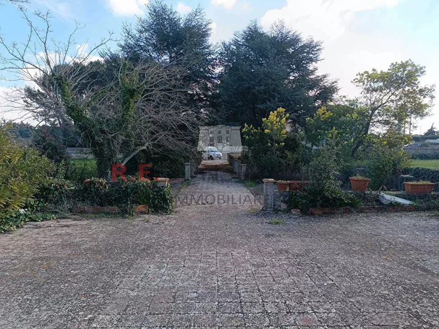 Immagine 23 di Villa in vendita  in SS172 24 a Martina Franca