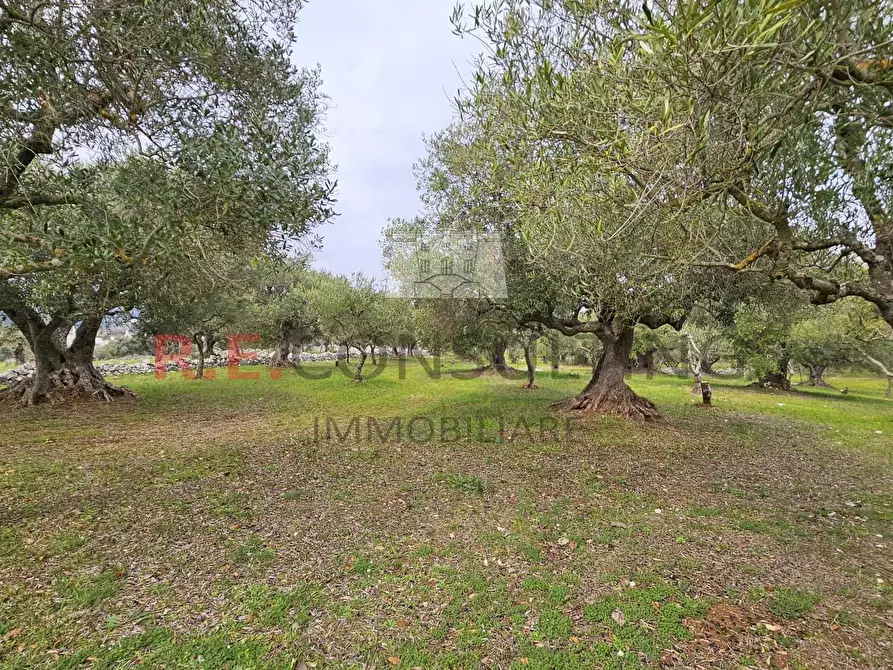 Immagine 22 di Rustico / casale in vendita  a Martina Franca