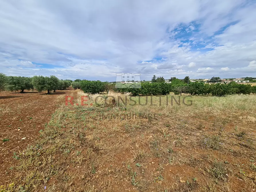 Immagine 21 di Baita in vendita  in Via ospedale a Martina Franca